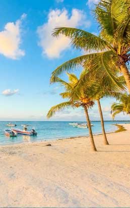 Private transfer from Cancun Airport to Akumal - starting at $119.99 USD, 1h 15min travel time