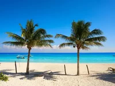 Private transfer from Cancun Airport to Puerto Aventuras - starting at $99.99 USD, 1h 5min travel time