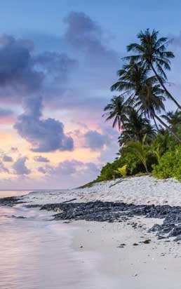 Private transfer from Cancun Airport to Playa del Carmen - starting at $79.99 USD, 45 min travel time