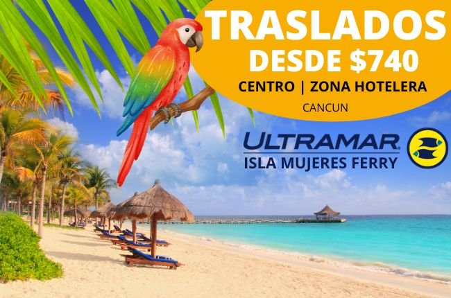 website/home.passenger_van_alt